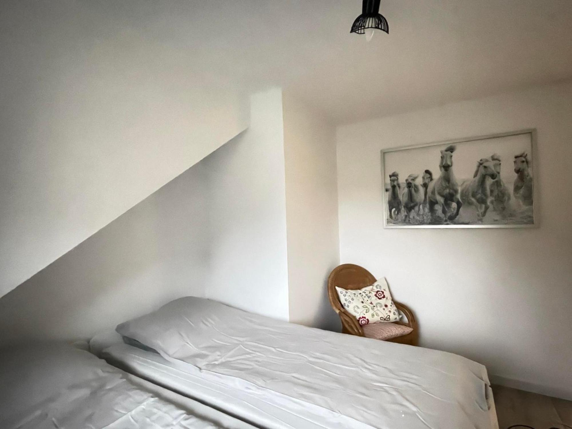 Ostoya Roztocze Hotell Szczebrzeszyn Eksteriør bilde
